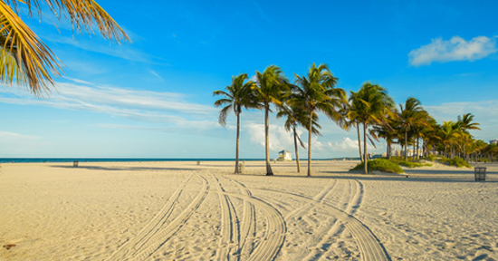 Florida s Best Cities For Young Adults florida-s-best-cities-for-young-adults