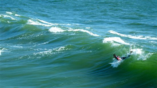 Venice Beach Surfer