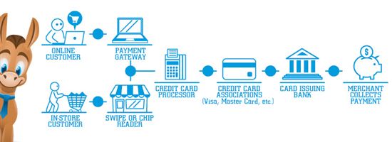 Credit Card Processing Fees How Much Does It Really Cost