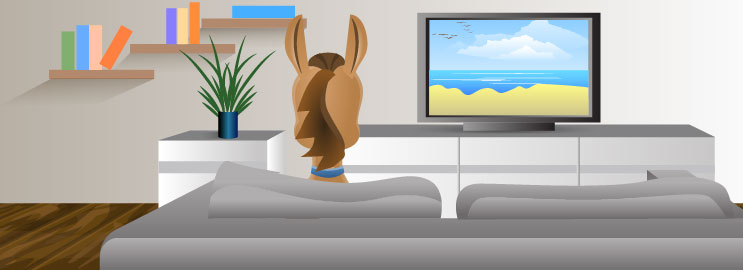 Dish Tv Reviews 2020 Read This Before You Subscribe